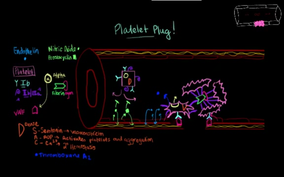 Primary hemostasis-Mimosa